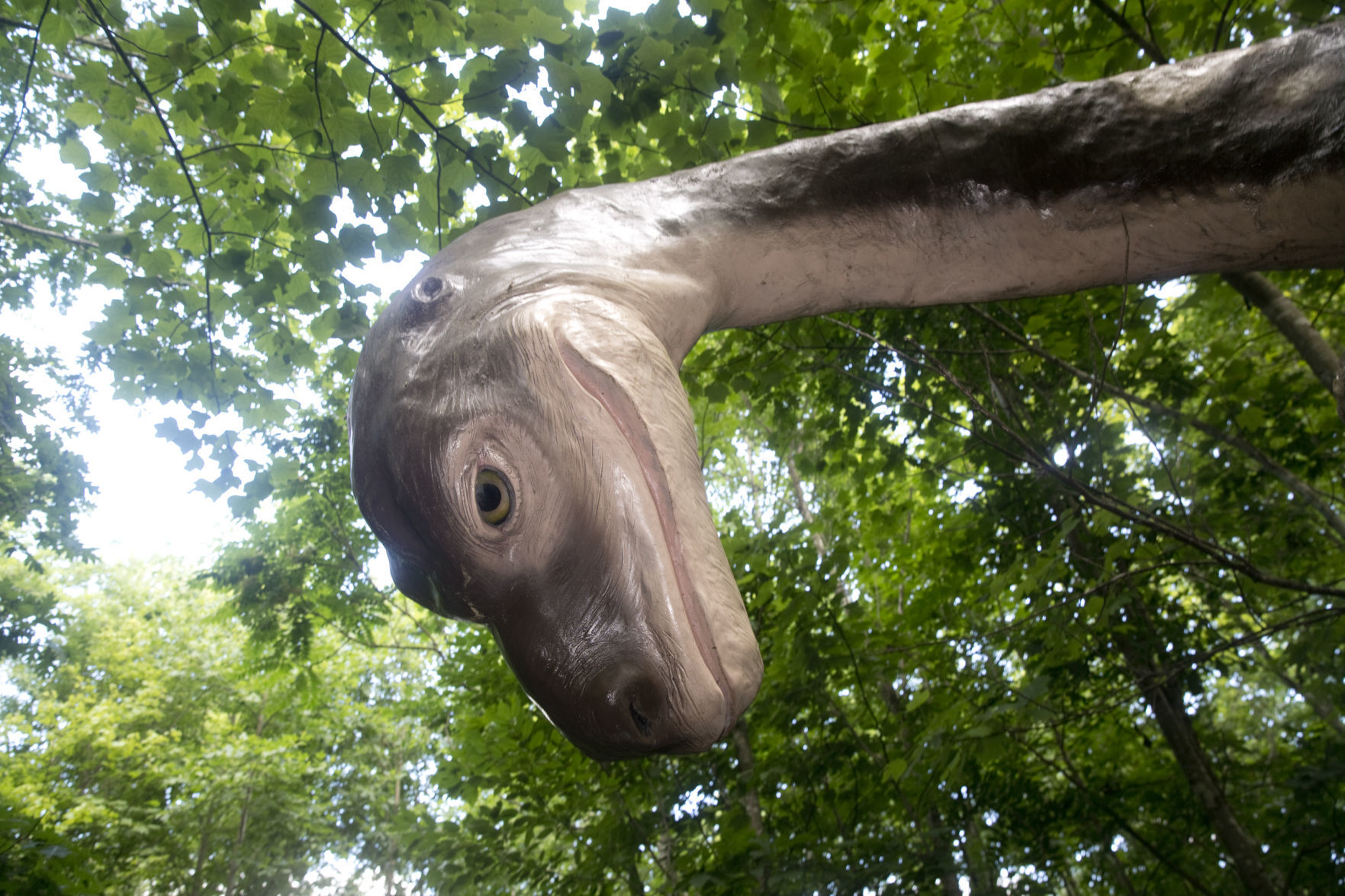 Dinosaur Kingdom II